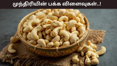 ஒரு நாளைக்கு எவ்வளவு முந்திரி சாப்பிடலாம்? யார் சாப்பிடக்கூடாது?