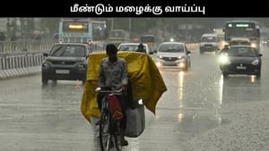 தமிழகத்தில் மீண்டும் மழைக்கு வாய்ப்பு.. குளிரும் அதிகரிக்கும்.. வானிலை அலர்ட்!!