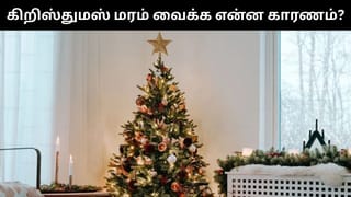 கிறிதுமஸ் பண்டிகையின் போது கிறிஸ்துமஸ் மரங்கள் வைக்கப்படுவது ஏன்?.. உங்களுக்கு தெரியுமா?