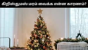கிறிதுமஸ் பண்டிகையின் போது கிறிஸ்துமஸ் மரங்கள் வைக்கப்படுவது ஏன்?.. உங்களுக்கு தெரியுமா? கிறிதுமஸ் பண்டிகையின் போது கிறிஸ்துமஸ் மரங்கள் வைக்கப்படுவது ஏன்?.. உங்களுக்கு தெரியுமா?