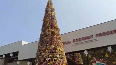 2,800 பூச்செடிகள், 30 அடி உயரம் - பிரம்மாண்ட கிறிஸ்துமஸ் மரம்!