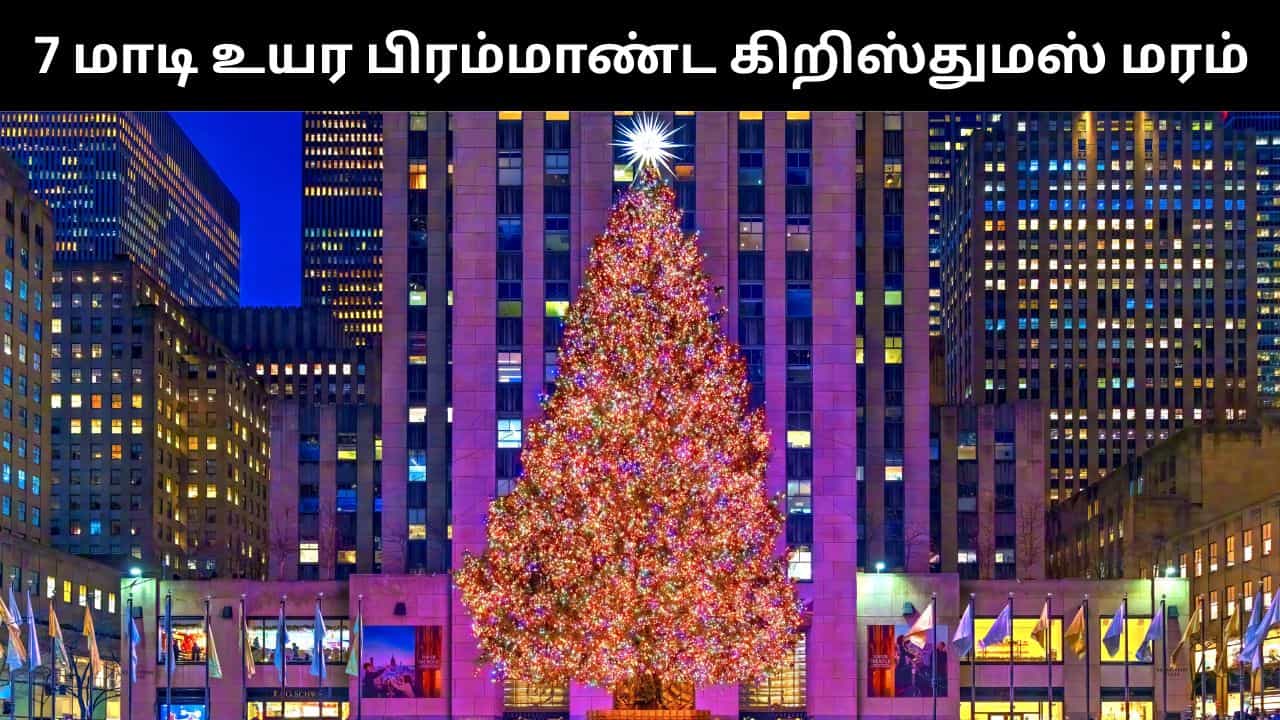கலைக்கட்டும் கிறிஸ்துமஸ் பண்டிகை.. நியூயார்க்கில் 7 மாடி உயர பிரம்மாண்ட கிறிஸ்துமஸ் மரம்!