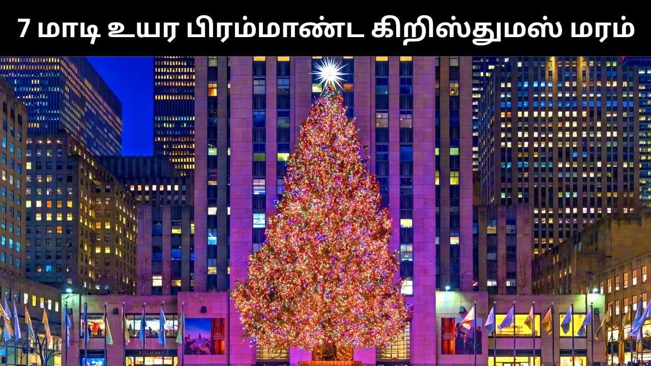 கலைக்கட்டும் கிறிஸ்துமஸ் பண்டிகை.. நியூயார்க்கில் 7 மாடி உயர பிரம்மாண்ட கிறிஸ்துமஸ் மரம்!