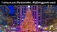 நியூயார்க்கில் 7 மாடி உயர பிரம்மாண்ட கிறிஸ்துமஸ் மரம்!...