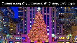 கலைக்கட்டும் கிறிஸ்துமஸ் பண்டிகை.. நியூயார்க்கில் 7 மாடி உயர பிரம்மாண்ட கிறிஸ்துமஸ் மரம்! கலைக்கட்டும் கிறிஸ்துமஸ் பண்டிகை.. நியூயார்க்கில் 7 மாடி உயர பிரம்மாண்ட கிறிஸ்துமஸ் மரம்!