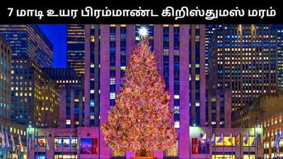 நியூயார்க்கில் 7 மாடி உயர பிரம்மாண்ட கிறிஸ்துமஸ் மரம்!