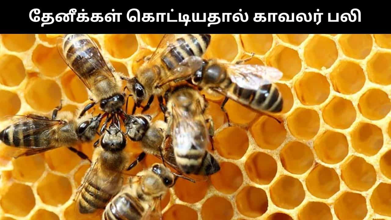 தேனீக்கள் கொட்டியதால் உயிரிழந்த ஓய்வு பெற்ற காவலர்.. உ.பியில் அதிர்ச்சி சம்பவம்!