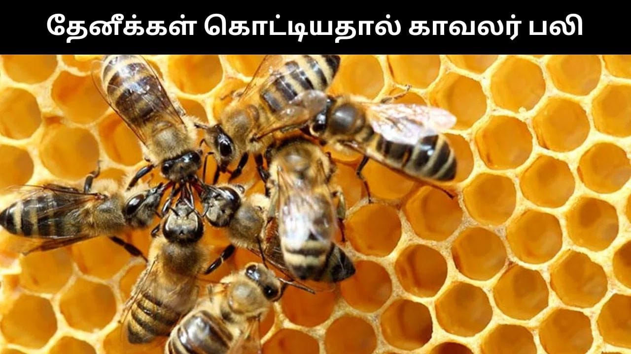 தேனீக்கள் கொட்டியதால் உயிரிழந்த ஓய்வு பெற்ற காவலர்.. உ.பியில் அதிர்ச்சி சம்பவம்!