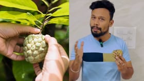 Health Tips: சீத்தாப்பழத்தில் இவ்வளவு நன்மைகளா..? அடுக்கும் மருத்துவர் சிவசுந்தர் விளக்கம்!...