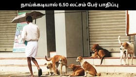 தமிழகத்தில் நாய்க்கடியால் 6.50 லட்சம் பேர் பாதிப்பு.. 33 பேர் உயிரிழப்பு.. ஷாக் தகவல்!!...