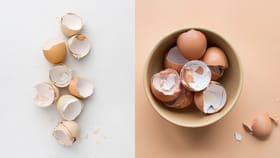 Egg Shells Advantages: முட்டை ஓடுகளை குப்பையில் வீசுகிறீர்களா? வேண்டாம்! இந்த நன்மைகளை அள்ளி தரும்!...
