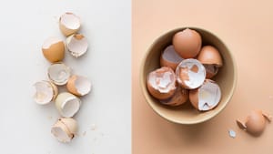 Egg Shells Advantages: முட்டை ஓடுகளை குப்பையில் வீசுகிறீர்களா? வேண்டாம்! இந்த நன்மைகளை அள்ளி தரும்!