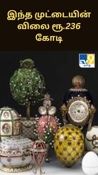 இந்த முட்டையின் விலை ரூ.236 கோடி தானாம்.. ஷாக் ஆகாதீங்க!!...