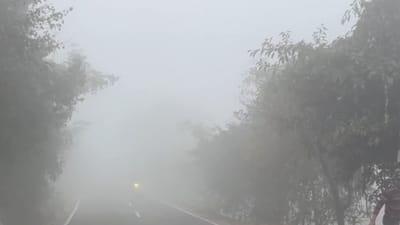 ஓவர் பனியால் திணறும் வட இந்தியா!