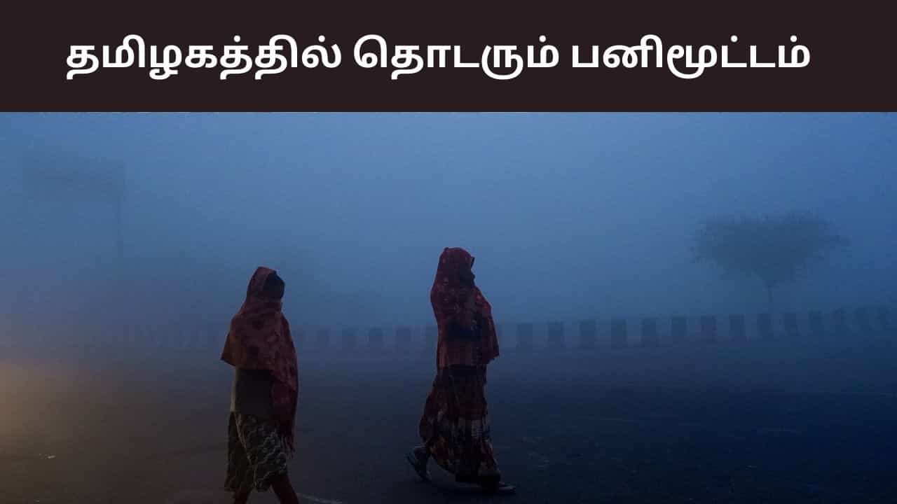 தமிழகத்தில் அதிகபட்ச வெப்பநிலை எப்படி இருக்கும்? பனிமூட்டம் இருக்குமா? வானிலை சொல்வது என்ன?