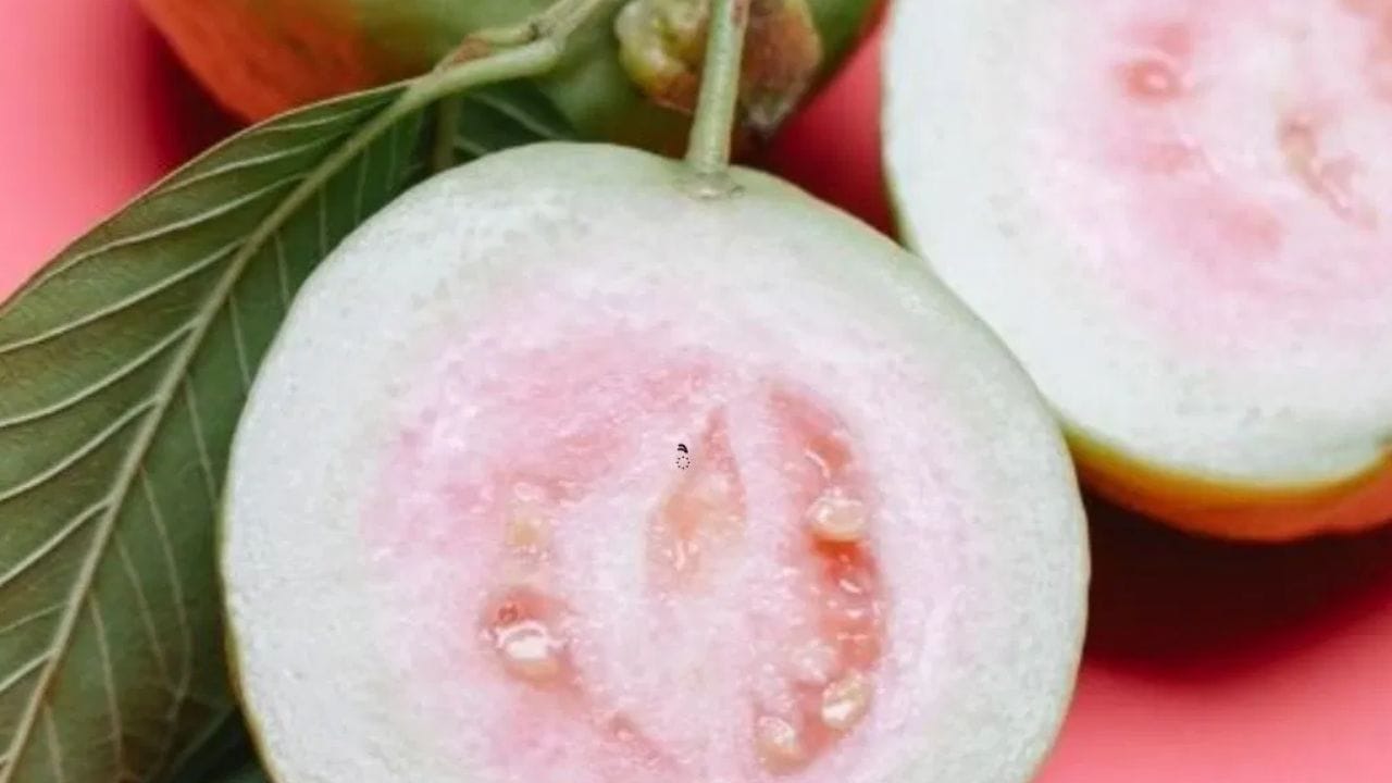 கொய்யா நார்ச்சத்துக்கான நல்ல உணவு. 100 கிராம் கொய்யாவில் சுமார் 5-6 கிராம் நார்ச்சத்து காணப்படுகிறது. இது இரத்த சர்க்கரையை கட்டுப்படுத்தவும் செரிமானத்தை மேம்படுத்தவும் உதவுகிறது. மேலும், அதன் வைட்டமின் சி உள்ளடக்கம் காரணமாக, இது ஆரோக்கியமான சருமத்தையும் ஊக்குவிக்கிறது. (படம்: பெக்ஸல்ஸ்)