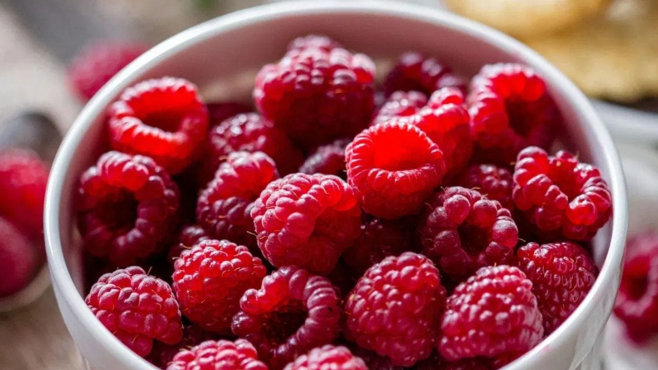 ராஸ்பெர்ரி நோய் எதிர்ப்பு சக்தியை அதிகரித்து செரிமானத்தை மேம்படுத்துகிறது. அவை நீரிழிவு நோயாளிகளுக்கும் நன்மை பயக்கும். அவற்றின் நார்ச்சத்து என்பது 1 கப் ராஸ்பெர்ரியில் தோராயமாக 8 கிராம் உள்ளது. (படம்: பெக்சல்ஸ்)