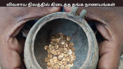 விவசாய நிலத்தில் கிடைத்த பழங்கால நாணயங்கள் - போலீசார் விசாரணை
