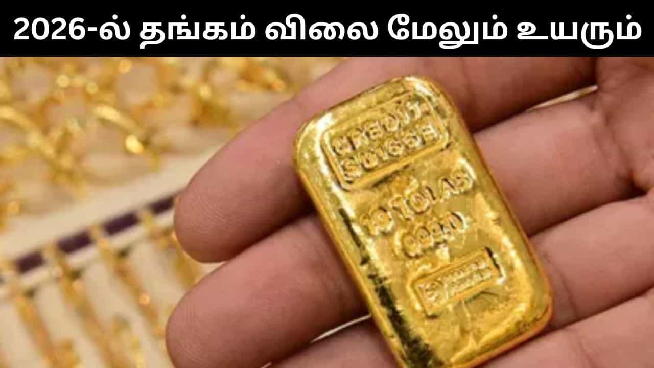 2026-ல் தான் ஆட்டமே இருக்கிறது.. தங்கம் விலை அதிரடியாக உயரும்.. ஷாக் கொடுக்கும் தரகு நிறுவனம்! 2026-ல் தான் ஆட்டமே இருக்கிறது.. தங்கம் விலை அதிரடியாக உயரும்.. ஷாக் கொடுக்கும் தரகு நிறுவனம்!