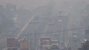 தமிழகத்தில் கடும் பனிப் பொழிவு.. வரும் நாட்கள் எப்படி இருக்கும்?  பனி அலெர்ட் இதோ!