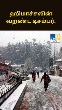 ஹிமாச்சலின் வறண்ட டிசம்பர்.. வெப்பமயமாதலால் பனி இல்லாத நிலை!...