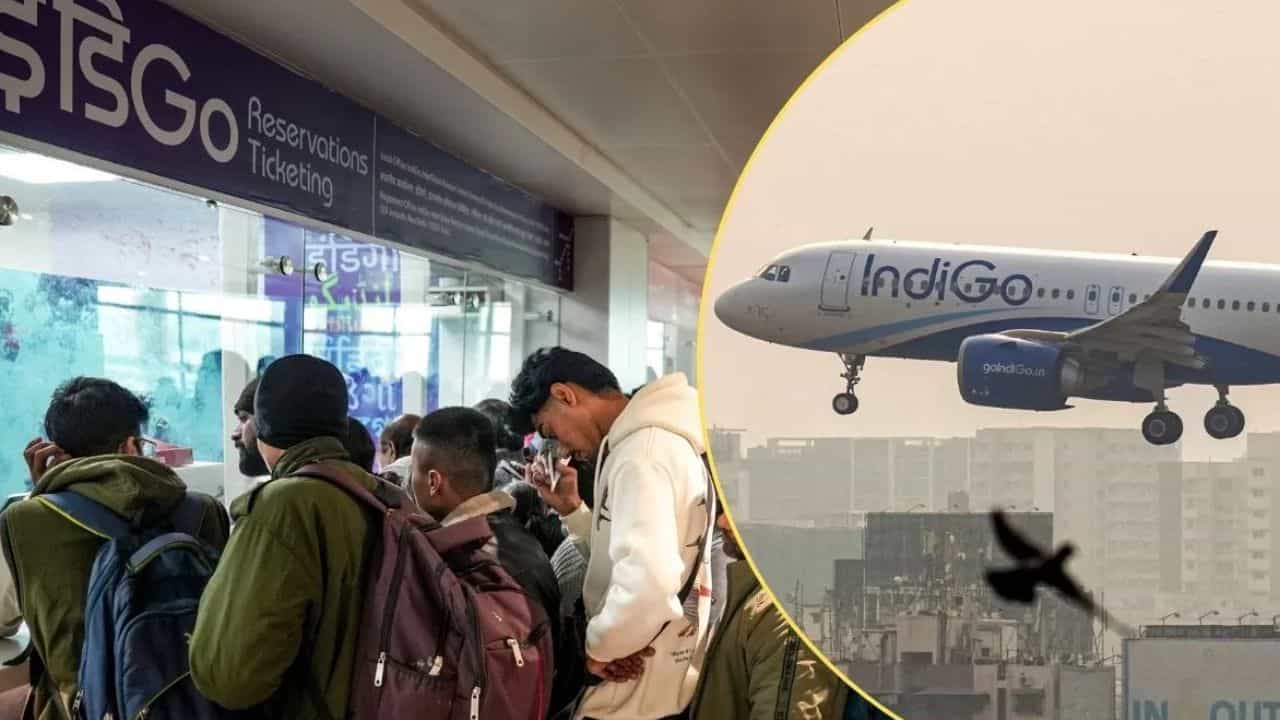 ரூ. 610 கோடி ரீஃபண்ட்.. 3000 லக்கேஜ் ரிட்டர்ன்... இயல்பு நிலைக்கு திரும்பும் இண்டிகோ! ரூ. 610 கோடி ரீஃபண்ட்.. 3000 லக்கேஜ் ரிட்டர்ன்... இயல்பு நிலைக்கு திரும்பும் இண்டிகோ!