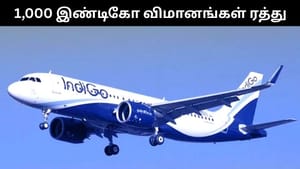 ஒரே நாளில் 1,000 விமானங்களை ரத்து செய்த இண்டிகோ.. டிக்கெட் முன்பதிவு செய்த பொதுமக்கள் அவதி! ஒரே நாளில் 1,000 விமானங்களை ரத்து செய்த இண்டிகோ.. டிக்கெட் முன்பதிவு செய்த பொதுமக்கள் அவதி!