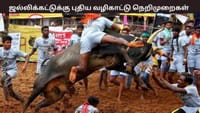 ஜல்லிக்கட்டு போட்டிகள் - தமிழக அரசு விதித்த கட்டுப்பாடுகள் என்ன?...