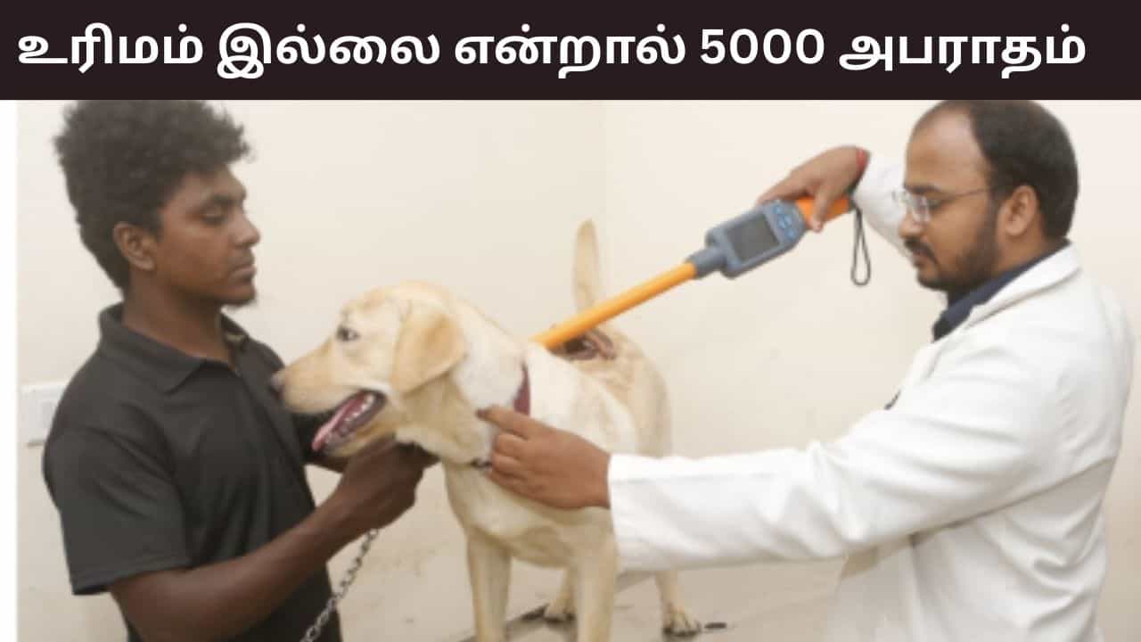 உரிமம் இல்லாத செல்லப்பிராணிகளுக்கு ரூ.5000 அபராதம்.. 15 குழுக்களை அமைத்த சென்னை மாநகராட்சி..
