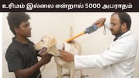 உரிமம் இல்லாத செல்லப்பிராணிகளுக்கு ரூ.5000 அபராதம்.....