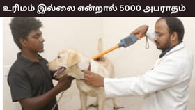 உரிமம் இல்லாத செல்லப்பிராணிகளுக்கு ரூ.5000 அபராதம்.. 15 குழுக்களை அமைத்த சென்னை மாநகராட்சி.....