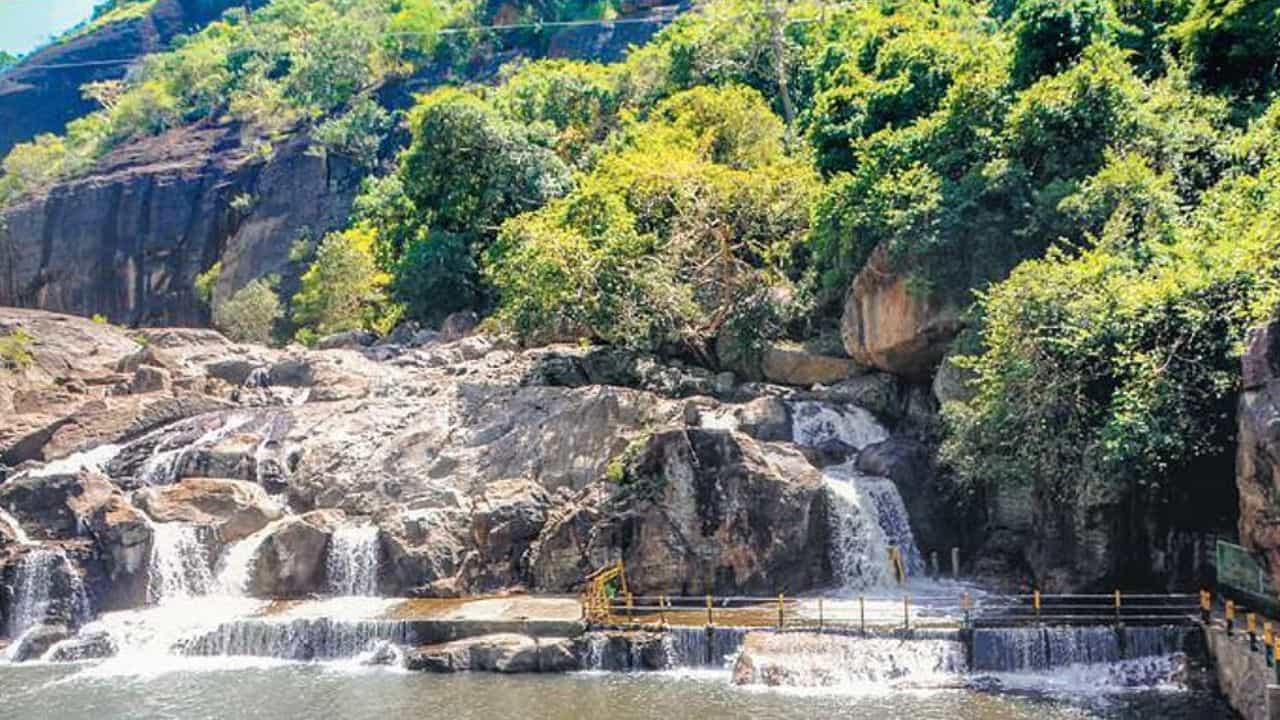 மணிமுத்தாறு அருவியில் குளிக்க அனுமதி...ஒரு மாதத்துக்கு பிறகு தடை நீக்கம்...சுற்றுலாப் பயணிகள் மகிழ்ச்சி!