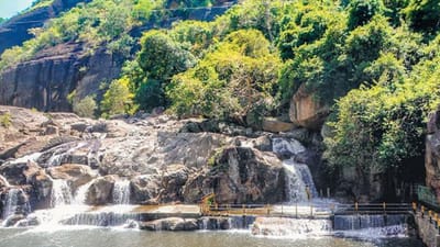 மணிமுத்தாறு அருவிக்கு குளிக்க போகலாமா!