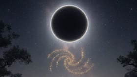 மார்கழி மாதம் அமாவாசை.. இந்த 5 தவறுகள் செய்தால் பாவம் சேரும்!...