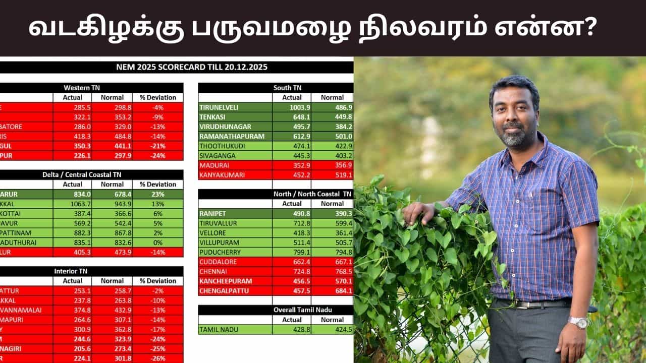 சென்னையில் 6% குறைவாக பதிவான வடகிழக்கு பருவமழை.. எங்கே அதிகம் தெரியுமா? - வெதர்மேன் டேட்டா..