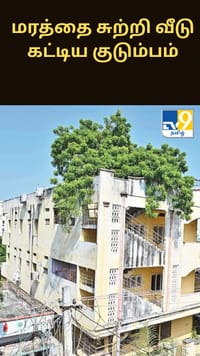 100 ஆண்டுகள் பழமையான வேப்ப மரத்தை வெட்டாமல், அதனை சுற்றி வீடு கட்டிய குடும்பம்...