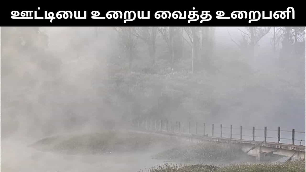 ஊட்டியில் உறைபனி.. சுற்றுலா பயணிகளுக்கு கொண்டாட்டம்.. புலம்பும் பொதுமக்கள்! ஊட்டியில் உறைபனி.. சுற்றுலா பயணிகளுக்கு கொண்டாட்டம்.. புலம்பும் பொதுமக்கள்!