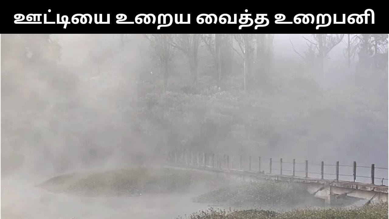 ஊட்டியில் உறைபனி.. சுற்றுலா பயணிகளுக்கு கொண்டாட்டம்.. புலம்பும் பொதுமக்கள்!