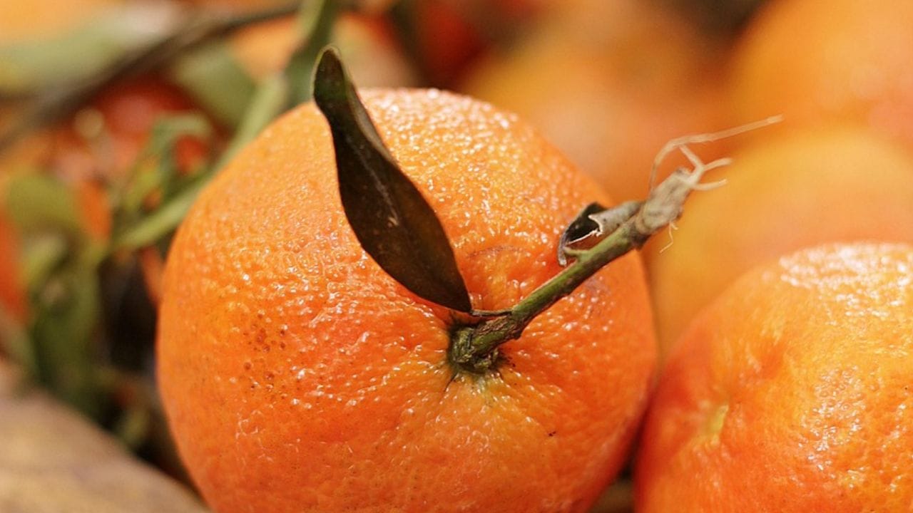 வைட்டமின்-சி நிறைந்த உணவுகளை உட்கொள்வது இரத்த சோகையைத் தடுக்க உதவும், ஆரஞ்சு இரும்பின் நல்ல மூலமாக இல்லாவிட்டாலும், அவை வைட்டமின் சி இன் சிறந்த மூலமாகும், இது உங்கள் உடலின் இரும்பை உறிஞ்சும் திறனை மேம்படுத்துகிறது