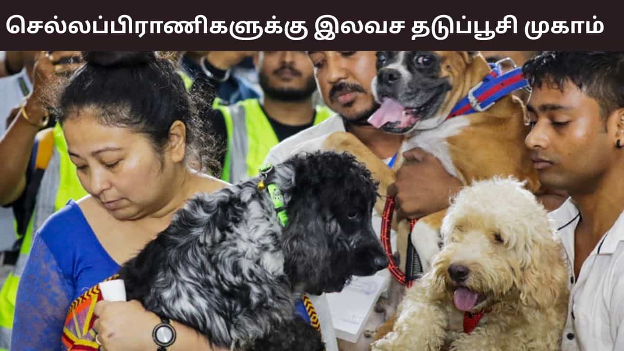 செல்லப்பிராணிகளுக்கு தடுப்பூசி மற்றும் உரிமம் வழங்கும் முகாம்.. 8 இடங்களில் நடக்கும் என சென்னை மாநகராட்சி அறிவிப்பு..