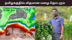 டெல்டா, தென் தமிழகத்தில் தொடரும் மழை.. சென்னையில் மழை இருக்காது – வெதர்மேன் பிரதீப் ஜான்.....