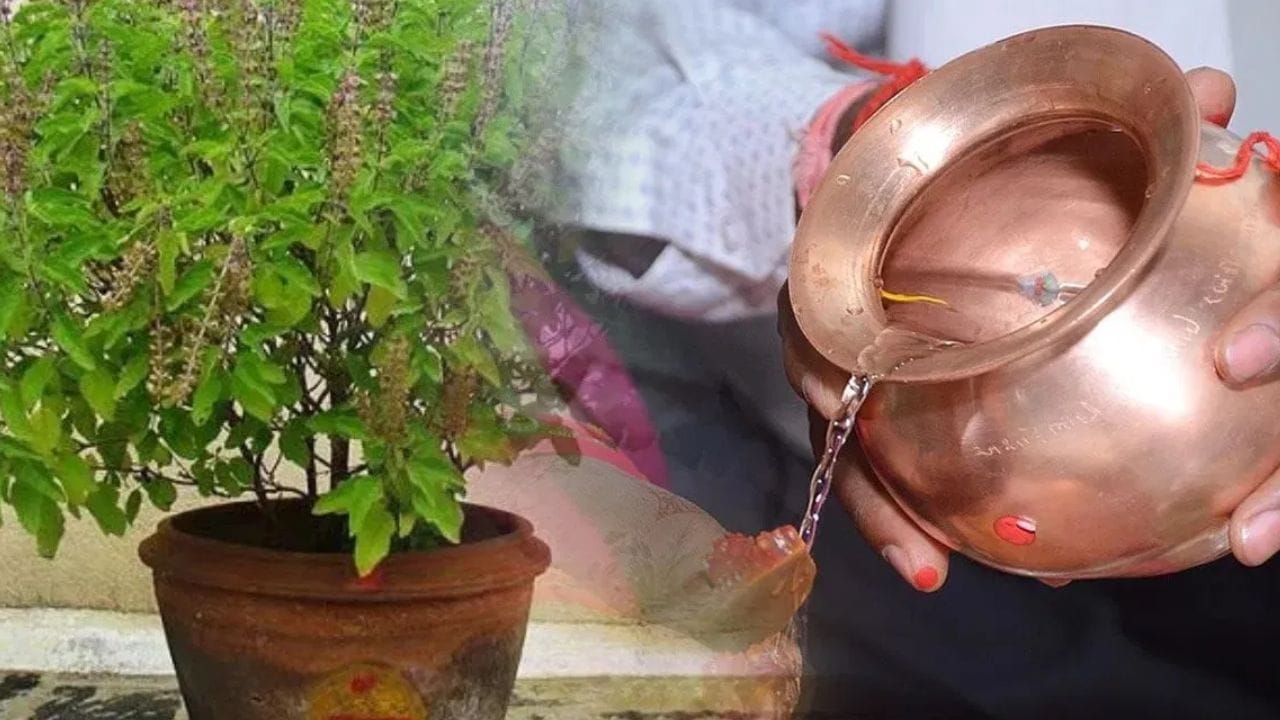 கடவுளுக்கு படைக்கப்பட்ட துளசி இலைகளை மீண்டும் பூஜையில் பயன்படுத்தலாம். துளசி இலைகள் கிடைக்கவில்லை என்றால், நீங்கள் மீண்டும் பூஜையில் துளசியைப் பயன்படுத்தலாம். ஏனெனில் துளசி ஒருபோதும் தூய்மையற்றது. அதுவே தூய்மையானதாகக் கருதப்படுகிறது. கடவுளுக்கு படைக்கப்பட்ட பிறகு வில்வ இலைகளைக் கழுவி மீண்டும் பயன்படுத்தலாம், இதில் எந்தத் தீங்கும் இல்லை