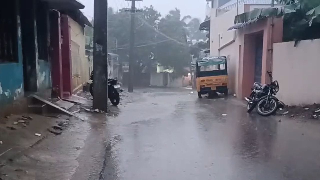 மழையோடு தொடங்கிய மார்கழி.. ராமேஸ்வரத்தில் லேசான மழை! மழையோடு தொடங்கிய மார்கழி.. ராமேஸ்வரத்தில் லேசான மழை!