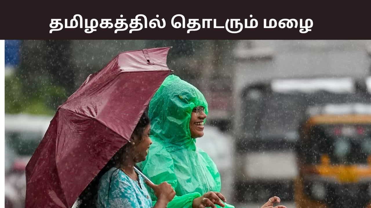 மழைக்கு ரெடியா இருங்க மக்களே..! படிப்படியாக குறையும் பனி.. வானிலை ரிப்போர்ட் இதோ..