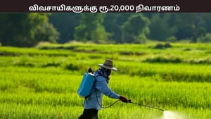 விவசாயிகளுக்கு ஹெக்டேருக்கு ரூ.20,000 இழப்பீடு – அமைச்சர் அறிவிப்பு