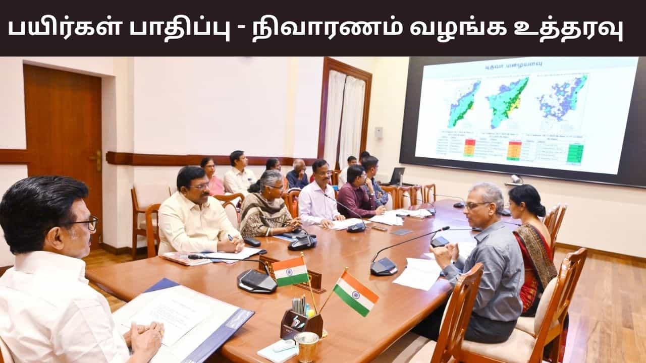 டிட்வா புயல் பாதிப்பு.. உடனடியாக நிவாரணம் வழங்க மாவட்ட ஆட்சியர்களுக்கு முதல்வர் உத்தரவு..