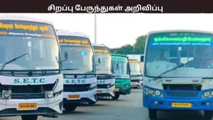 கிறிஸ்துமஸ் விடுமுறை – தமிழக அரசு சார்பில் சிறப்பு பேருந்துகள் அறிவிப்பு – எந்தெந்த ஊர்களுக்கு தெரியுமா?