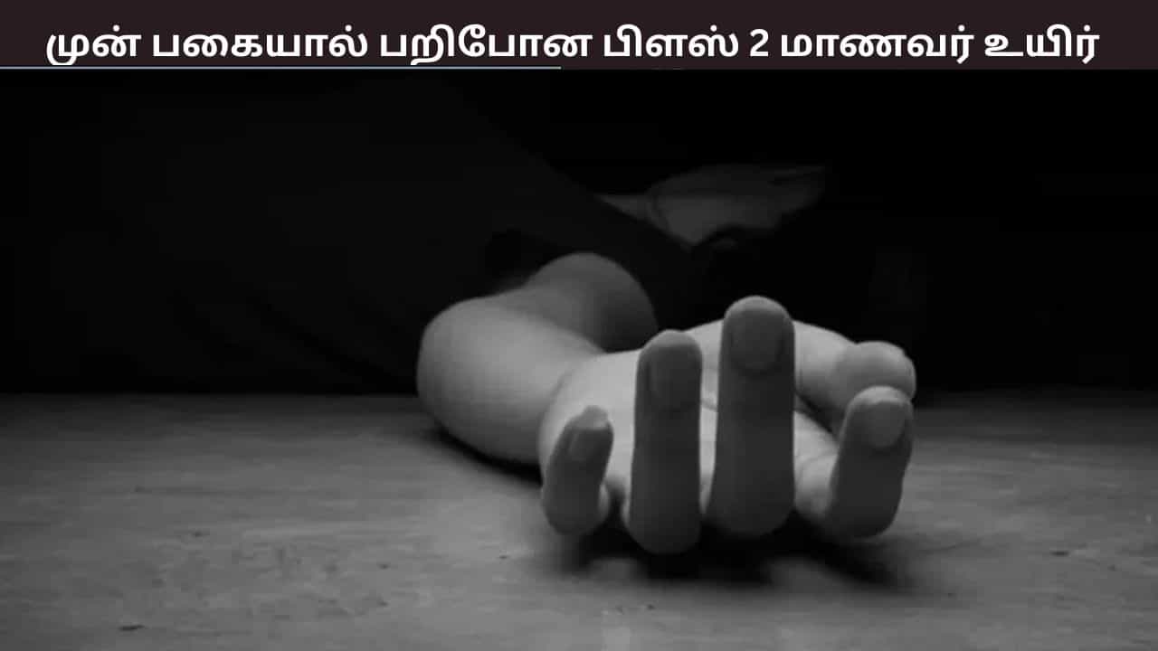 முன்பகை காரணமாக கட்டையால் தாக்கிய மாணவர்கள் -  பிளஸ் 2 மாணவர் பரிதாப மரணம் - அதிர்ச்சி தகவல்