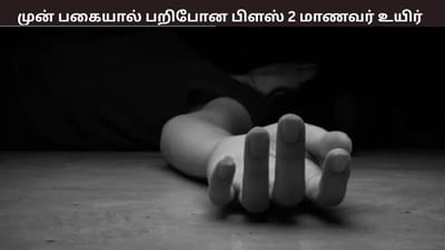 பிளஸ் 2 மாணவரை தாக்கிய பிளஸ் 1 மாணவர்: பரிதாப மரணம்