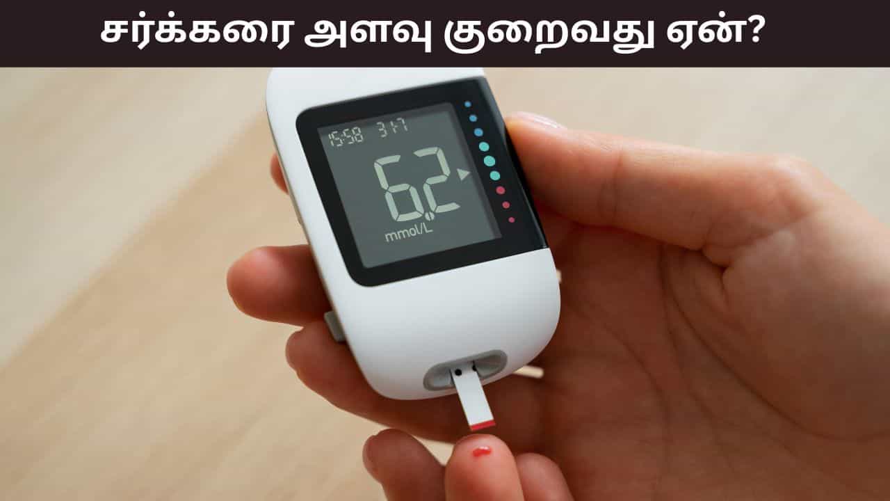 Health Tips: சர்க்கரை அளவு திடீரென ஏன் குறைகிறது..? இதை சரிசெய்வது எப்படி..?